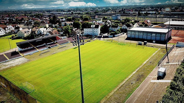 更是云集了 更是云集了